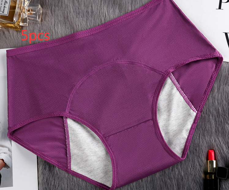 5PCS Menstrual Underwear Women Leak Proof Panties 5PCS Menstrual Underwear Women Leak Proof Panties